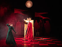 Agrandir l'image (fenêtre modale)