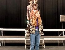 Agrandir l'image (fenêtre modale)