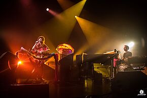 Agrandir l'image, fenêtre modale