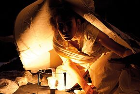 Agrandir l'image, fenêtre modale